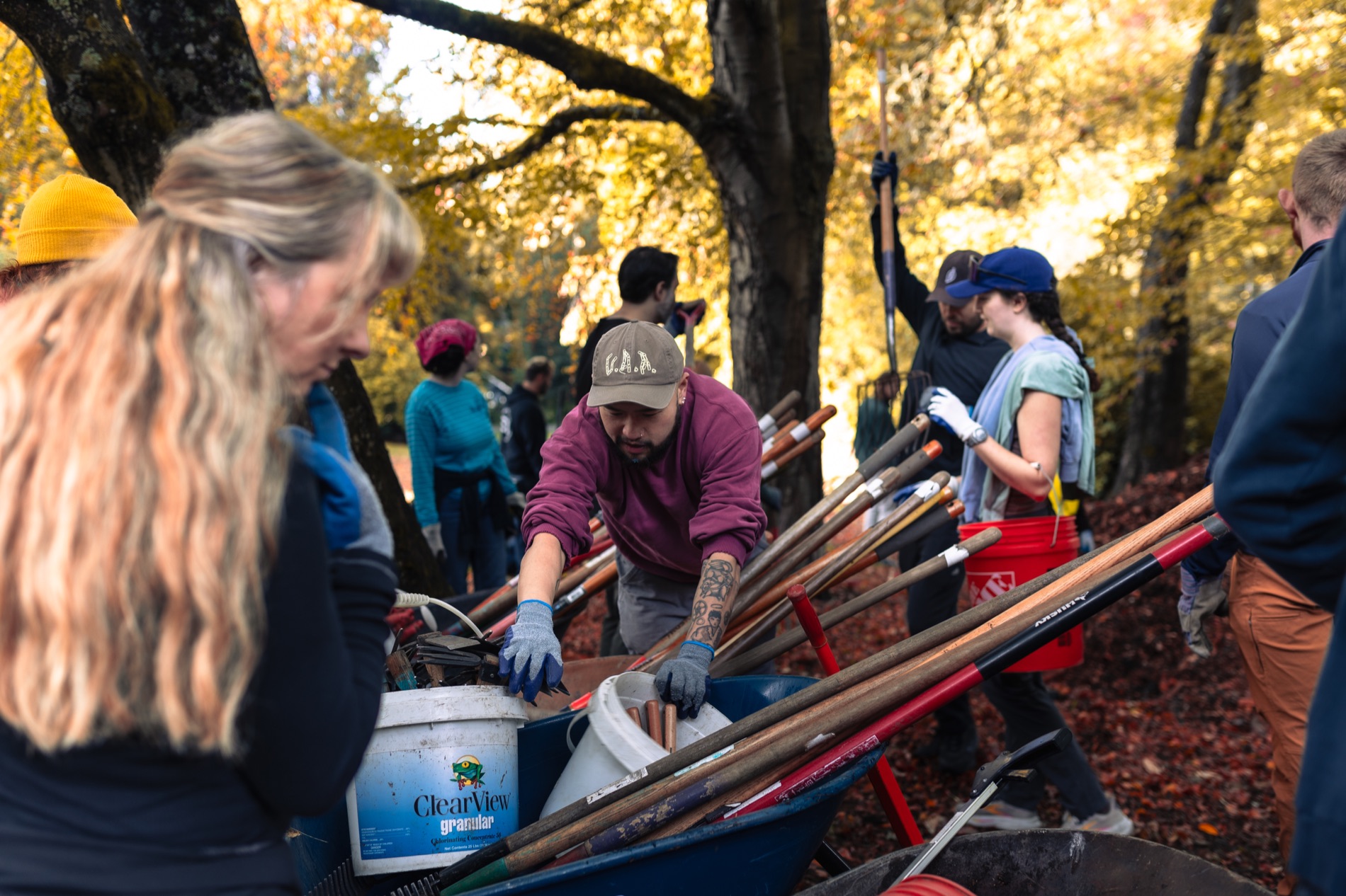 Volunteers working together during a fall restoration day